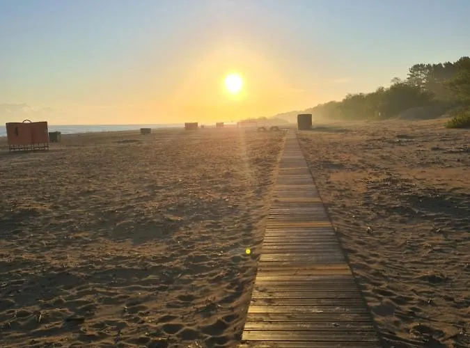 Kaktus Affittacamere 3*